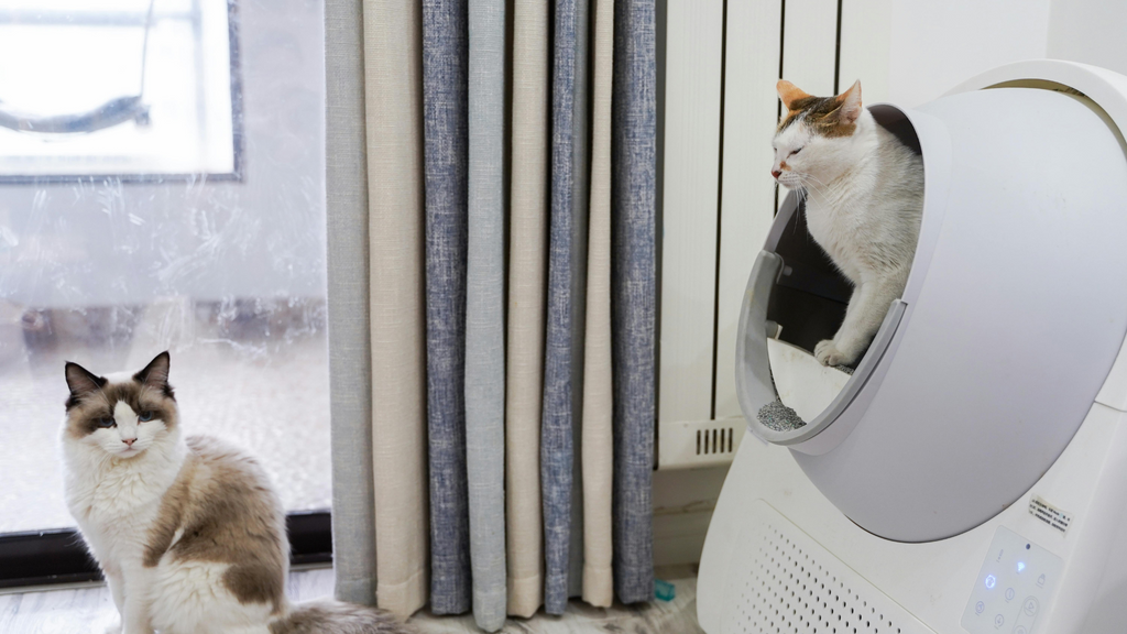 Comment fonctionne une litière Autonettoyante ?