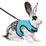 Harnais Sécurité Lapin