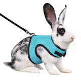 Harnais Sécurité Lapin
