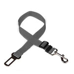 Ceinture de Sécurité Chien