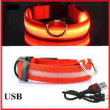 Collier Lumineux LED Chien