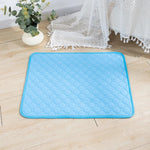 Coussin Chien Lavable