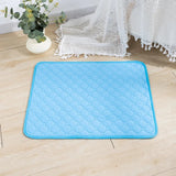 Coussin Chien Lavable