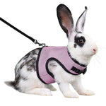 Harnais Sécurité Lapin