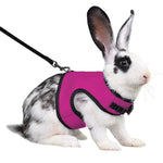 Harnais Sécurité Lapin