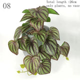 Plantes Artificielles Terrarium