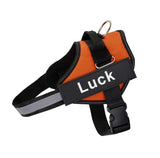 Harnais Anti Traction Chien
