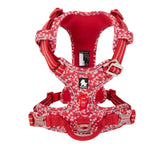 Harnais Réglable Réfléchissant Chien (2 à 40KG)