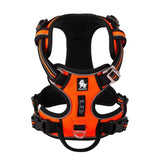 Harnais Réglable Réfléchissant Chien (2 à 40KG)