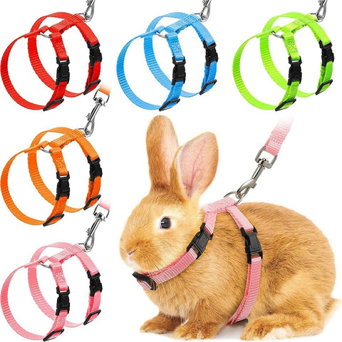 Harnais Laisse Lapin