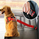 Ceinture de Sécurité Chien