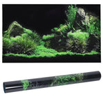 Fond Décoratif Aquarium