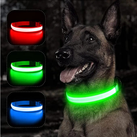 Collier Lumineux LED Chien