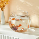 Aquarium Petit Volume