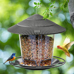 Mangeoire Extérieure Oiseaux