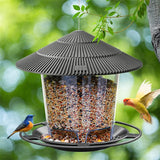 Mangeoire Extérieure Oiseaux