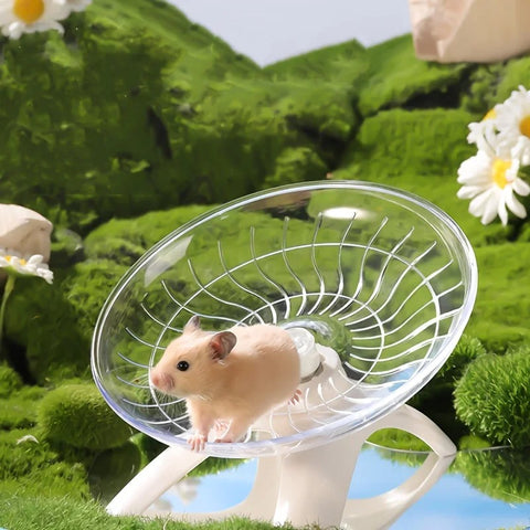 Toupie Hamster