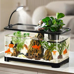 Aquarium Design Moderne