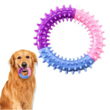 Anneau Caoutchouc Chien