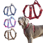 Harnais de Sécurité Voiture Chien