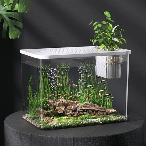 Aquarium Nano Complet