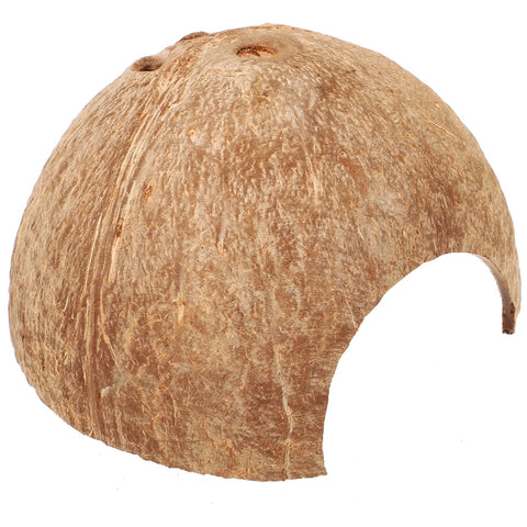 Cachette Reptile Naturelle