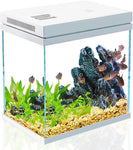 Kit Aquarium Débutant