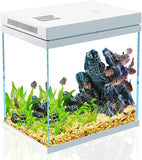 Kit Aquarium Débutant