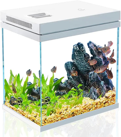 Kit Aquarium Débutant