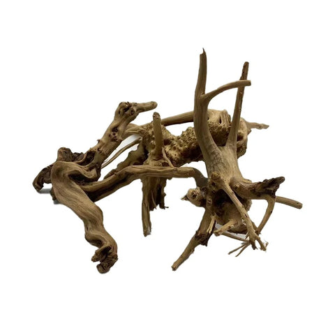 Bois Flotté Terrarium