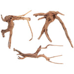 Racines Naturelles Terrarium