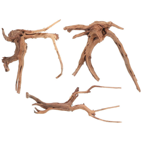 Racines Naturelles Terrarium