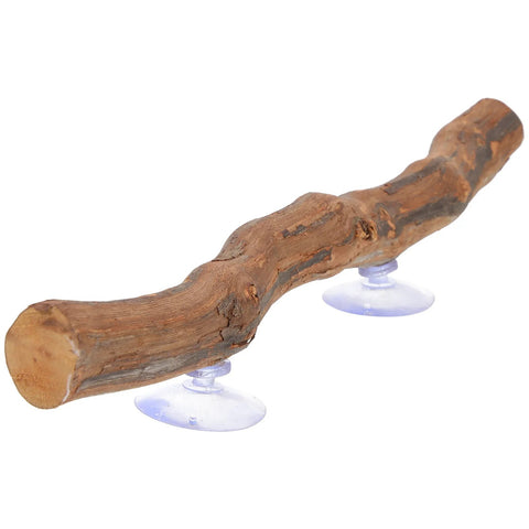 Décor Bois Exotique Reptile
