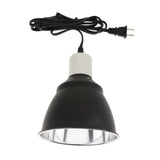 Lampe Halogène Reptiles