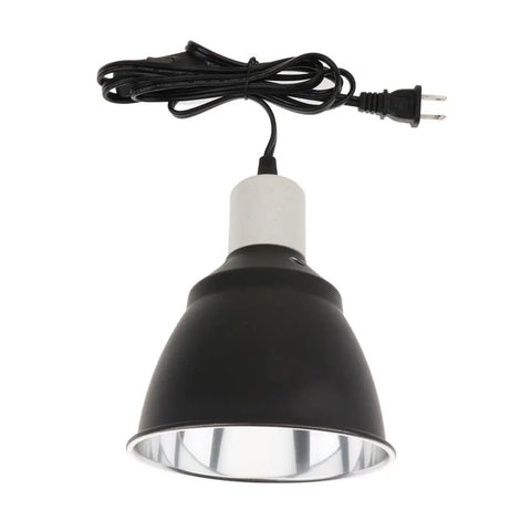 Lampe Halogène Reptiles