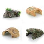 Maison Cachette Tortue