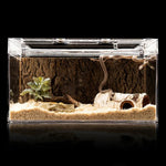 Caverne Reptile Humidité