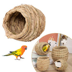 Nid Cocon Oiseaux