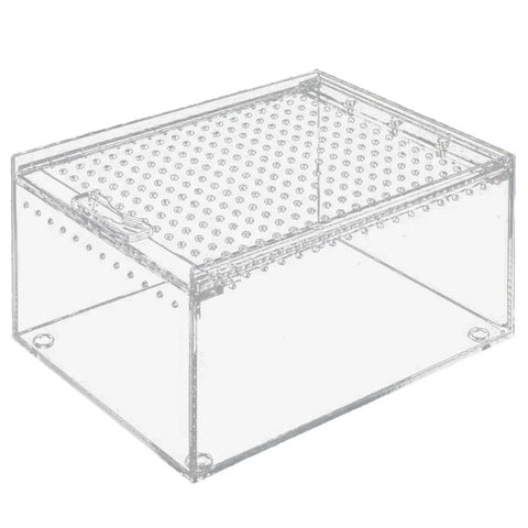 Bac Substrat Terrarium