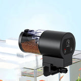 Distributeur Nourriture Poisson