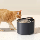 Fontaine à Eau Chat
