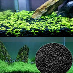 Substrat Aquarium Naturel