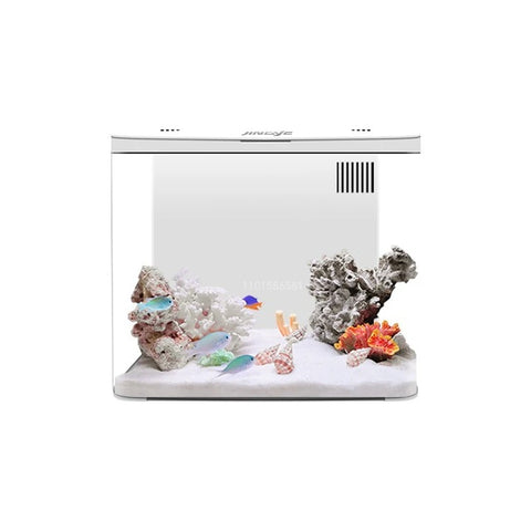 Aquarium Autonettoyant 