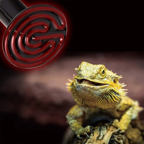 Lampe Infrarouge Serpent