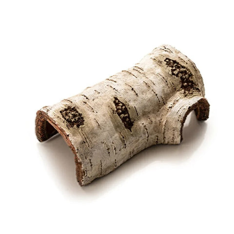 Caverne Reptile Humidité