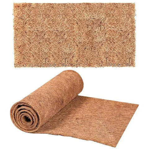 Plancher Absorbant Terrarium
