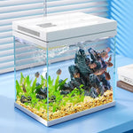 Kit Aquarium Débutant