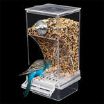 Mangeoire Automatique Oiseaux