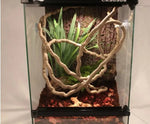 Lianes Flexibles Reptiles