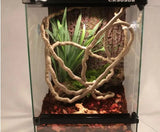 Lianes Flexibles Reptiles